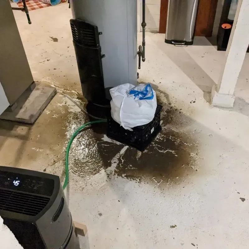 Sewage Backup Cleanup Service in Bassett, NE